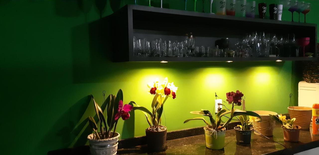 Quinta Do Lapa II Daire Florianópolis Dış mekan fotoğraf